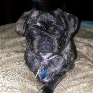 Meet your Posher, Regina